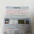 참옻나라산마을건강식품 | 참옻농장 옻이 오르지 않는 옻물