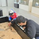 풍뎅이 별관 | 4살 아기랑 가기 좋은 곤충박물관 영등포 YDP 곤충체험학습관