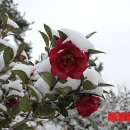 애기등 공원 이미지