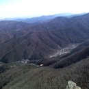 쪽갈비찌개 이미지