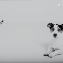 마이펫동물병원 - 남양주시 경춘로 1992 | 마이펫동물병원