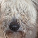 바둑이연구소 이미지