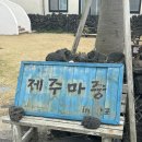 제주마중in판포 네이버블로그