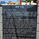 3월 말 일요 정기산행-애월 하물 이미지