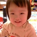 도영도영이 Daum카페