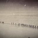 인천의 갯벌 이야기 이미지