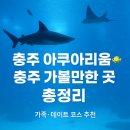 중부-현장-중부-470 | 🐠 충주 아쿠아리움 기본정보 &amp; 충주 가볼만한 곳 총정리