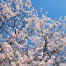 서운체육공원 (계양체육관) 네이버블로그