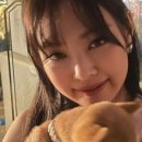초이펫 네이버블로그