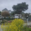 모리아펜션 이미지