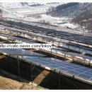 남양태양광발전소 이미지