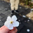 순강길 네이버블로그