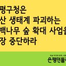 [논평] 은평구청은 봉산 생태계 파괴하는 편백나무 숲 확대 사업을 당장 중단하라 이미지