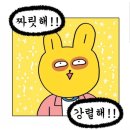 로미케이크
