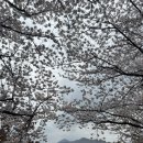 예림반점
