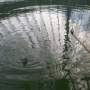 헤라낚시터 이미지