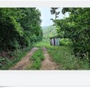 흑암농장 이미지