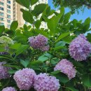 좌1동우체국 이미지