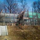 관양동 청동기유적 이미지