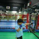 관저 복싱 클럽 이미지