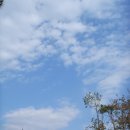 수원-2007 이미지