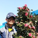 노고단-2 이미지