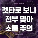 리딩펫 | 강아지·고양이 행동 이해 못 하겠다면 이 글 하나로 정리됩니다