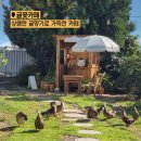 오리들2길 이미지