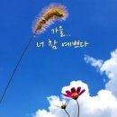 너참예쁘다 이미지