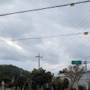 볼몽길하우스 | 제주도 뚜벅이여행 4일차: 볼몽길253, 올레시장,카페블루하우스