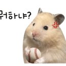 알라딘샾 이미지