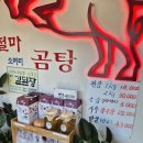 곰내곰탕