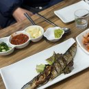 백구회포차