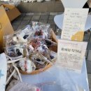 멍냥장터 - 시흥시 장현서3길 4 | 멍냥장터