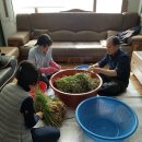 세실리아 요양센터 이미지