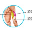 몬스터짐 이미지