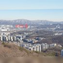 요기가거기 이미지