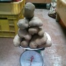 단양농업협동조합(농산물판매) 이미지