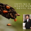 벗님헤어