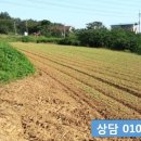 홍원3리마을회관 이미지