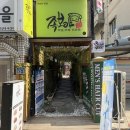 돼지의 족보 이미지