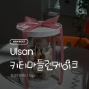 남구-010 | 울산 남구 달동 카페 추천 토피디저트 생일 키티마들렌 케이크 맛집