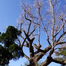 죽장초등학교 이미지