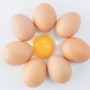 노바디짐 이미지