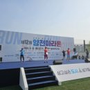 제12회 양천마라톤 대회(20230513) 이미지