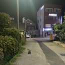 낭만의 7080 통기타 배우기 | [강원/강릉]강릉 임당동맛집 감성술집 [주막다리]