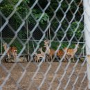 어답산농장 이미지