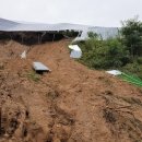 원성발전 이미지