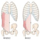 서울바른마취통증의학과