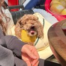 GS25 김포장기점 이미지